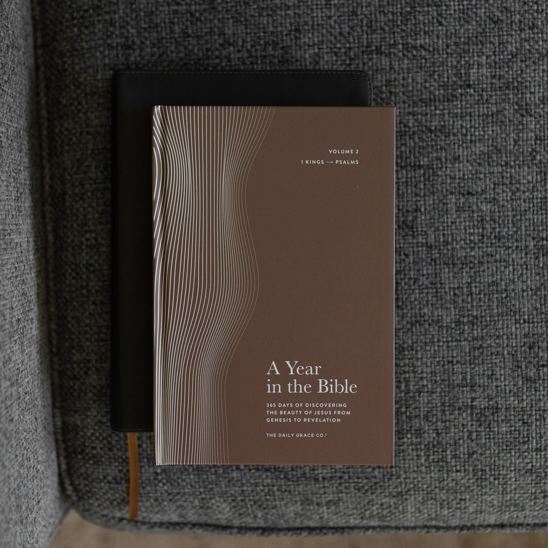 A Year in the Bible Mens Study cover on a gray couch cushion