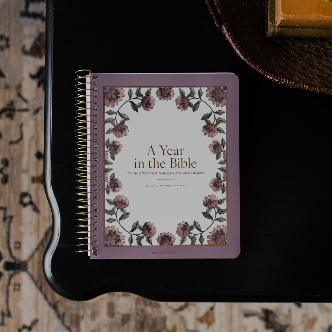 A Year in the bible Vol 3 cover on a black tabletop